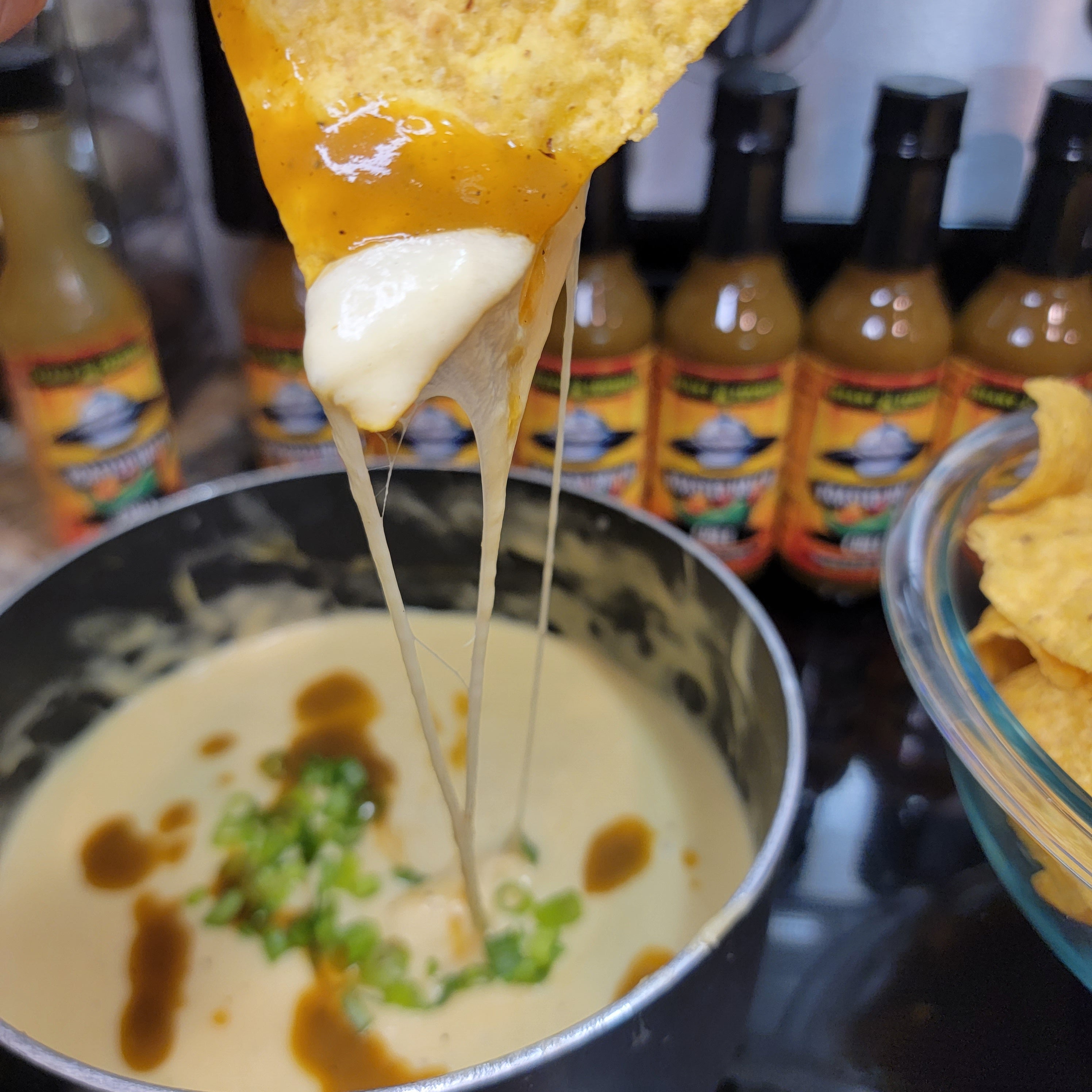 Roasted Hatch Chile Queso Dip – Freaky Ferments